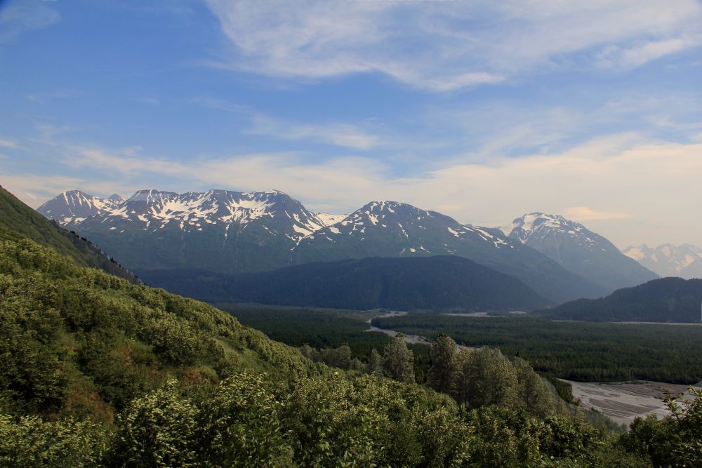 Outlook